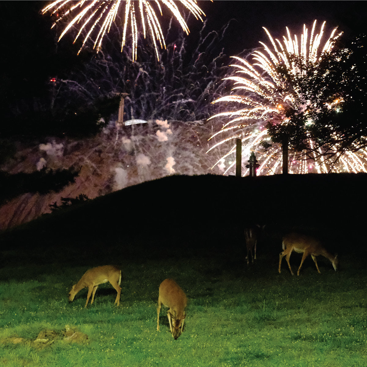 Woah, Mama: A Review of Hunting Season by Home is Where