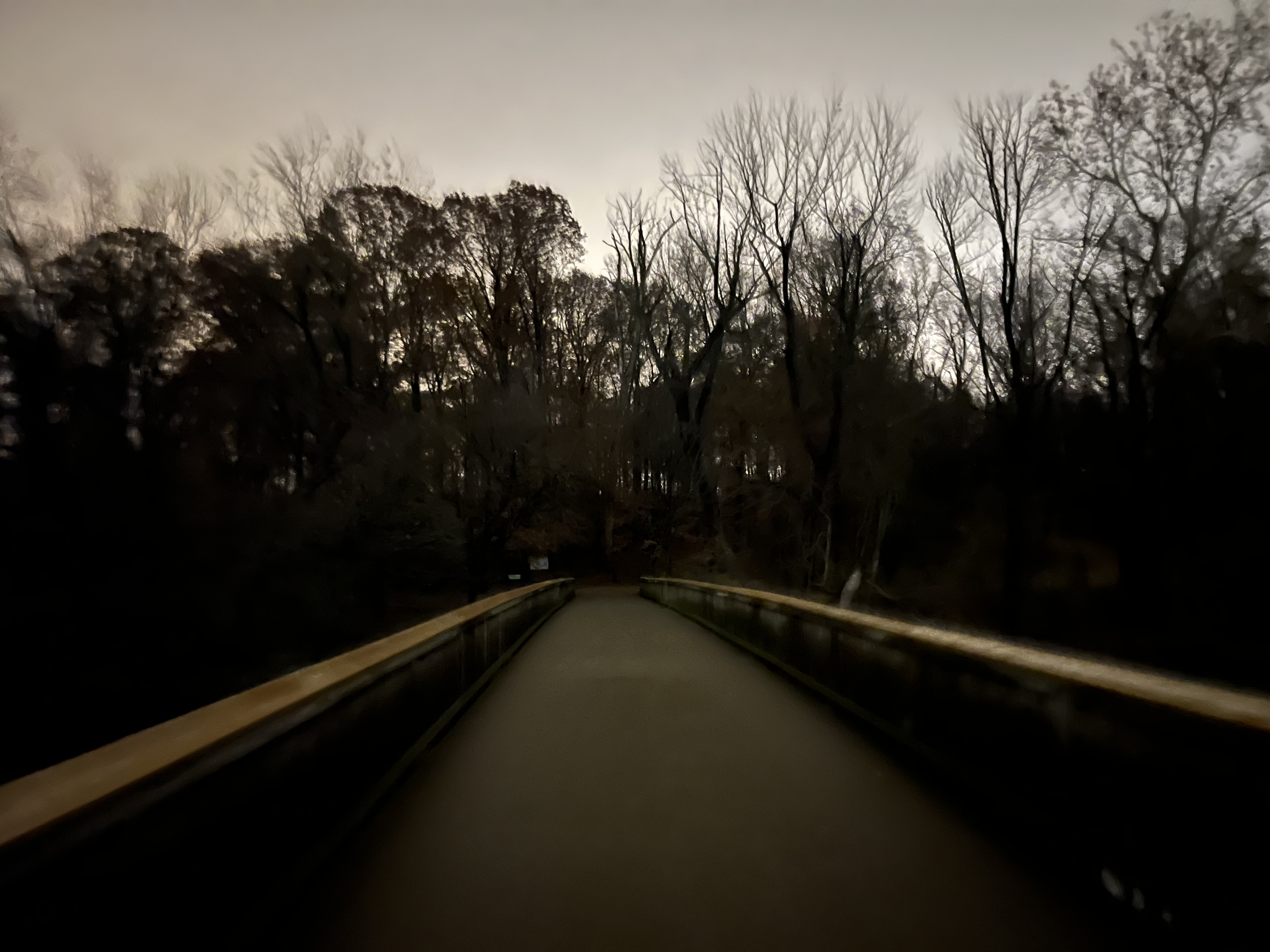 Revisiting Bish Bosch by Scott Walker in a Forest after Dark